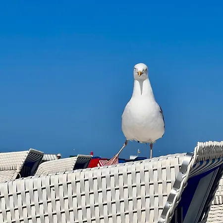 Zuhause Am Mit Sonnenbalkon In Strand- Und Altstadtnaehe Διαμέρισμα Ρόστοκ