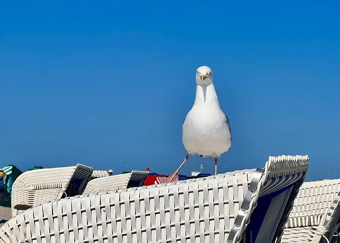 Zuhause Am Mit Sonnenbalkon In Strand- Und Altstadtnaehe Apartament Rostock